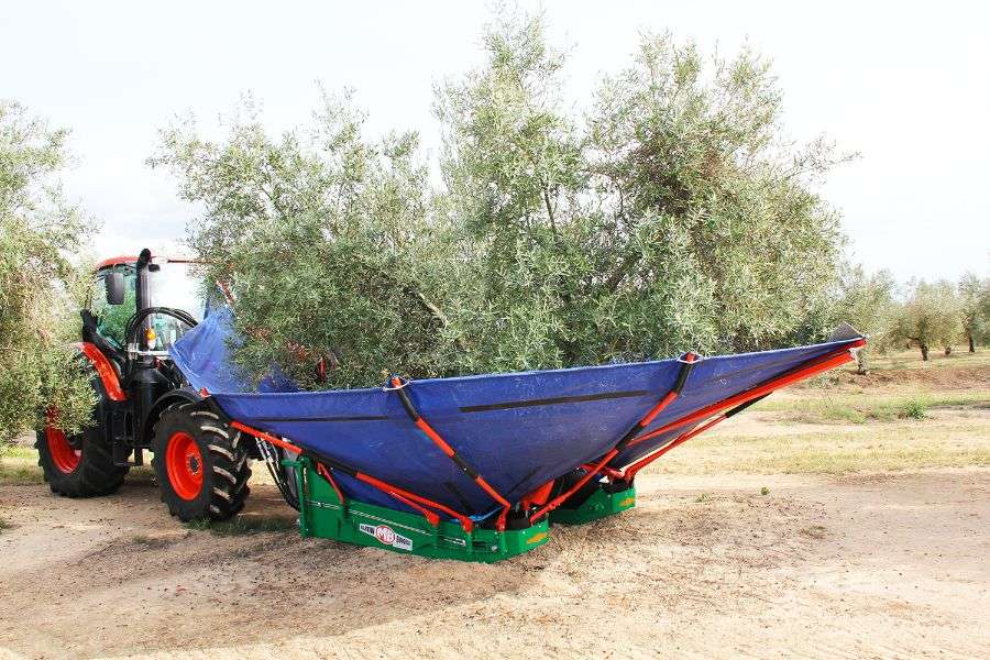 Vibradores agrícolas Martín Bohórquez Vibrador agrícola Martín Bohórquez trabajando en olivar